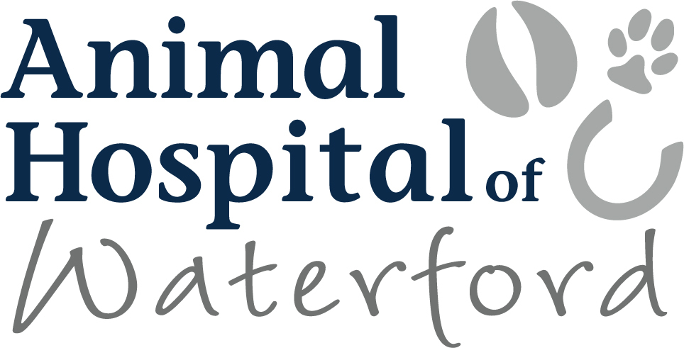 Animal Hospital of Waterford Logo