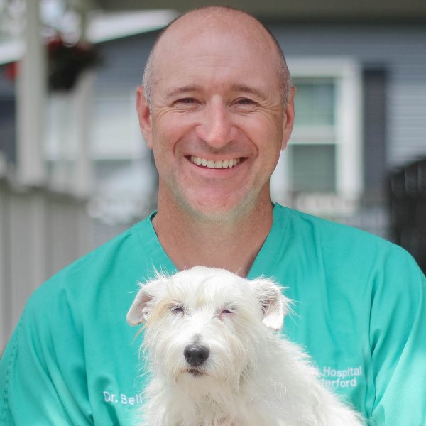 Veterinarians - Animal Hospital Of Waterford